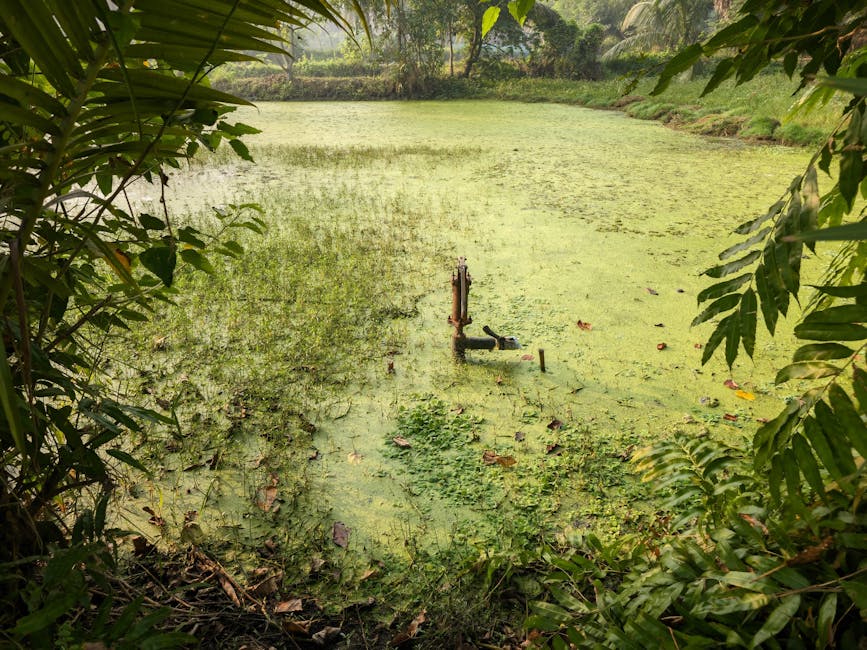Tranquil pond with lush surroundings and water pump in a forest setting, perfect for nature and calm environment themes.
